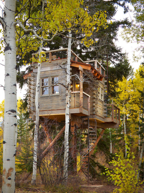 treehauslove:  Colorado Treehouse. A beautiful treehouse built on a 90-foot spruce. It has a heating; therefore, the house is perfectly comfortable in wintertime, and when the weather is warm the owners can have a picnic on the rooftop deck. Located in