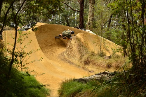 dreadingthewoods:  Arie berm railing at PMP