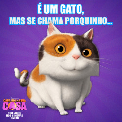 foxfilmdobrasil:  Um gato cheinho e preguiçoso.