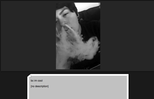 Tumblr media