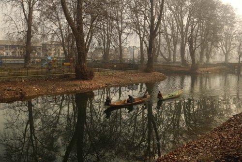 Kashmiri fishermen row their boats on the way to work on a cold morning in Srinagar on December 30, 