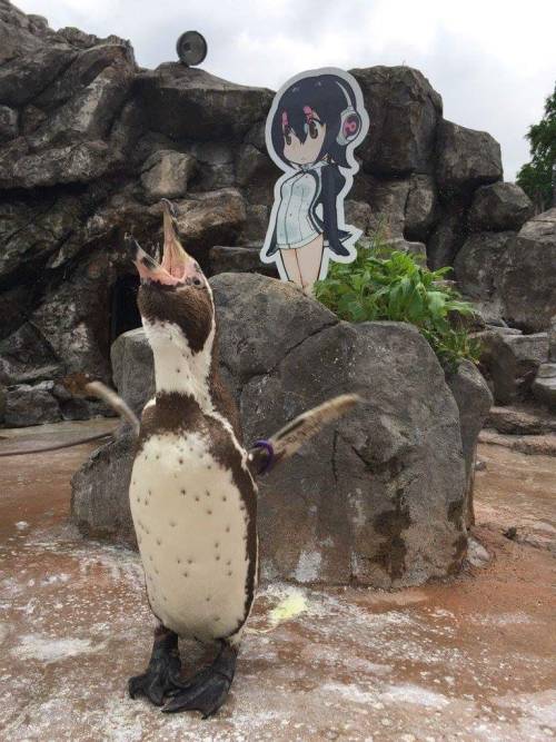 Grape-kun Left Our World Two Years Ago, But He Has Not Left Our Hearts.