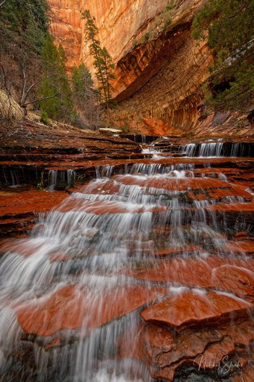 oneshotolive:Archangel Falls today in Zion National Park, Utah | OC | 1000 X 667 | IG: @thelightexplorer 📷: The_Light_Explorer  Bucket list. 