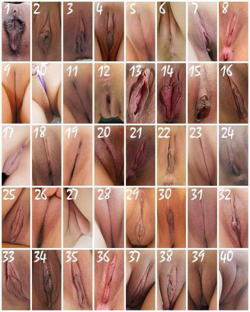 bigclitblackwomen:  honeyclitgoddezz:  queenlionesss:  grown-sexy68:  What type of pussy do you have ? An if your a guy what type do you like  ?  None of the above.  I don’t fit in.  No, u don’t but that’s a good thing