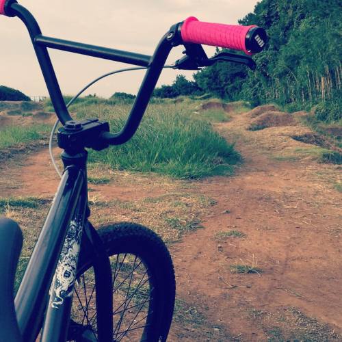 watanabe2315: 幕張海浜公園mtbコース
