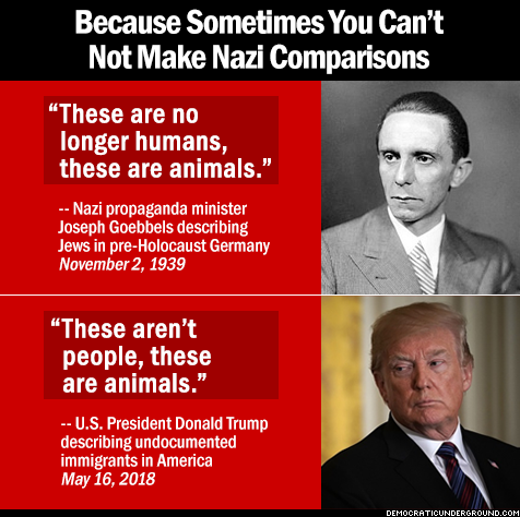 rollership: cheskamouse:  saywhat-politics:    Because Sometimes You Can’t Not Make Nazi Comparisons   “These are no longer humans, these are animals”  Fact: Godwin’s Law no longer applies, Godwin himself said so.  121 bombs a day or gas chambers