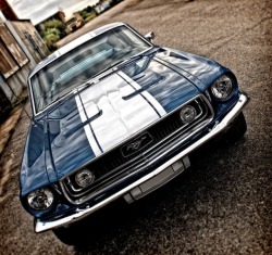 musclecarsfans:  Follow For Muscle Cars Everyday 