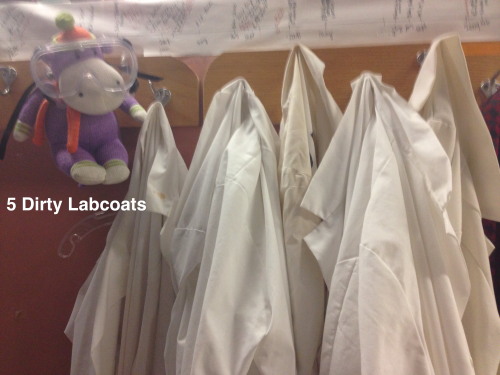 adventuresinchemistry:     Merry Christmas and Happy Holidays from Lewis the Science Hippo!  THIS IS HELL!!!