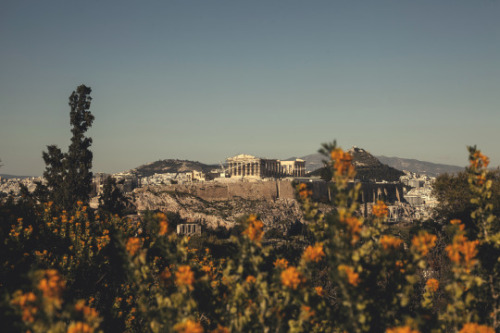 hypatia-von-alexandria: Acropolis of Athens, Greece.
