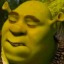 kidneybeann