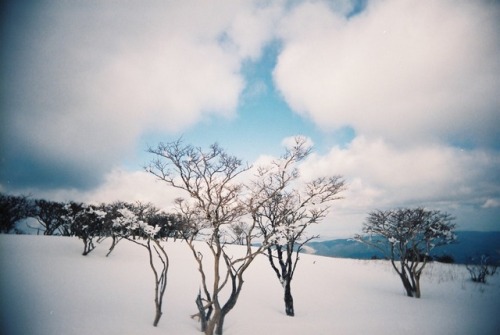 mt.fujiwara feb 15,2017