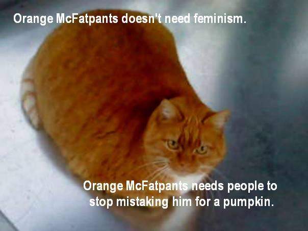 Orange McFatpants also likes referring to himself in the third person.
–
Reader submission. Confused Cats Against Feminism is brought to you by We Hunted the Mammoth, and by YOUR KITTIES. Submit!  And buy crap at the Confused Cats Store! It’s for...