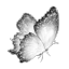 goldeiafortuna