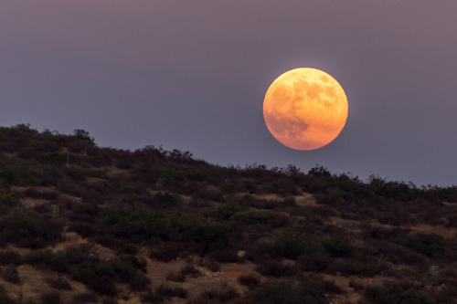 Porn photo mothernaturenetwork:  Here’s the massive