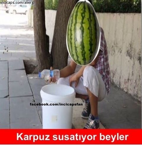 Karpuz susatıyor beyler