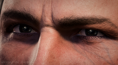 A Short Series With Companions' Eyes