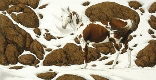Bev Doolittle