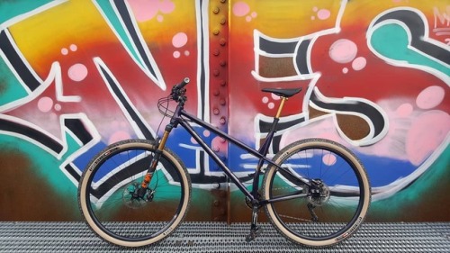 masahirov:KONA HONZO ST