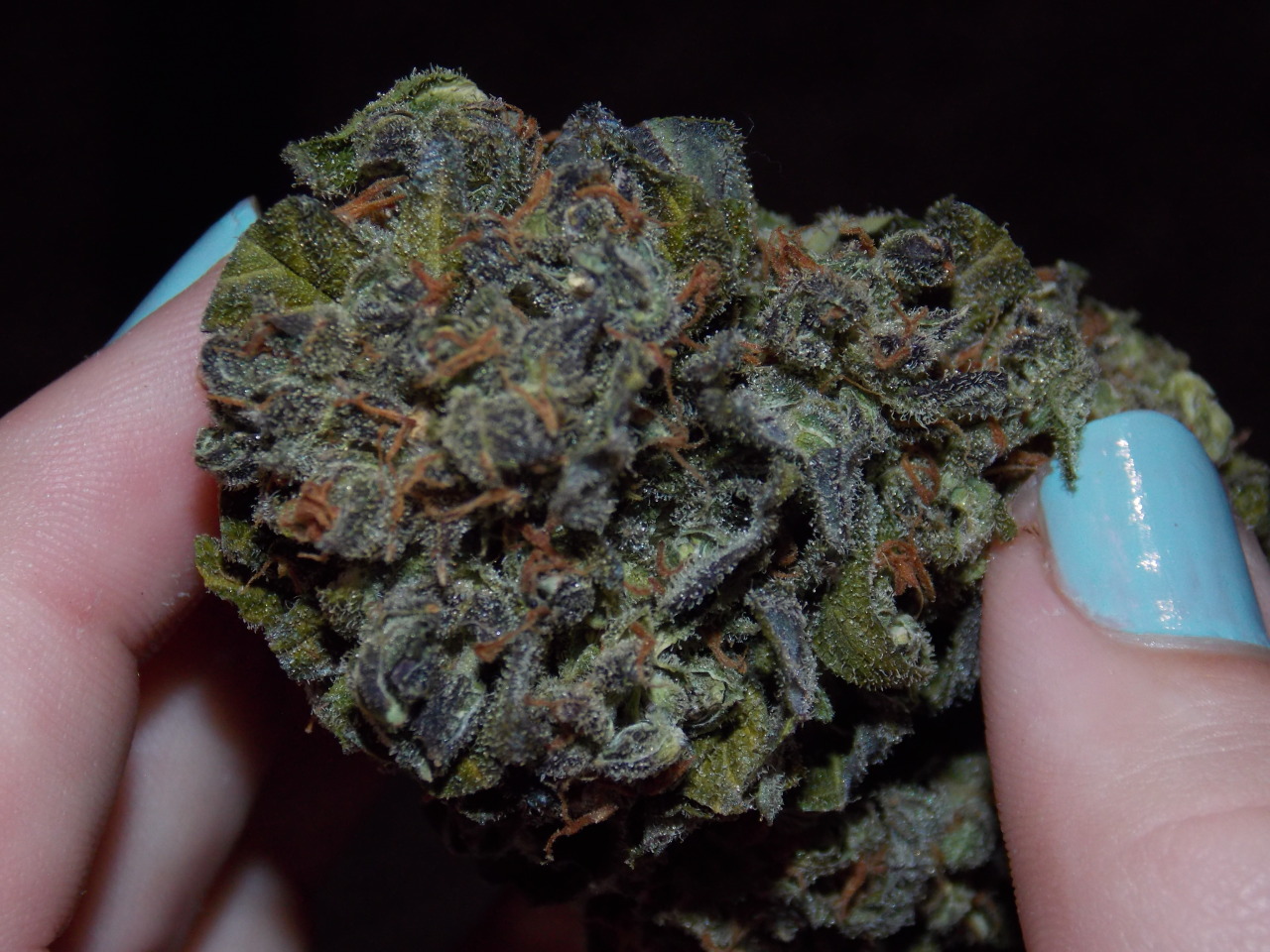 High
