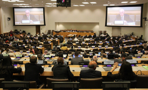 Earlier this month, the Council of the Socialist International convened at the United Nations Headquarters in New York, NY. The council’s extensive agenda included adopting a resolution calling for the rights of prisoner Marafa Hamidou Yaya in...