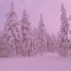 Somewhere-Wonderful:  Pictures From Skiing Trip To Lapland 