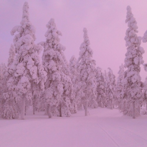 somewhere-wonderful:  Pictures from skiing trip to Lapland 