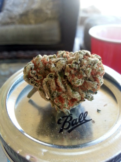 Always High, Never Dry