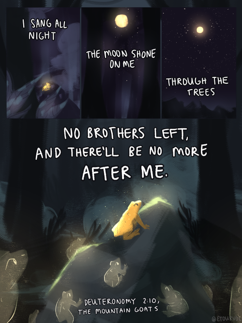 lesserdreams: etourvol: “no more after me”, a mini comic about the now-extinct golden toad. featuri