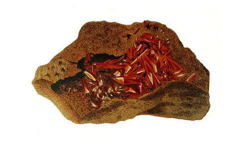 design-is-fine: James Sowerby, Exotic Mineralogy, 1811-20. London. The two-volume publication depict