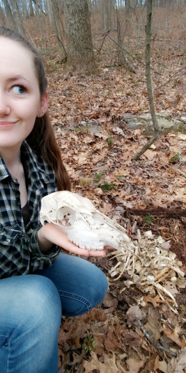 First day home and I found an old deer skeleton near what I can only assume is a hobbit hole in the 