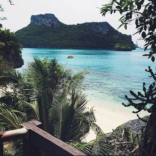 theadventurechild: Jungle/tropical blog