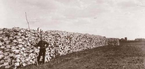 historium:A pile of bison bones along the railroad tracks in Saskatoon, Saskatchewan in 1890. They w