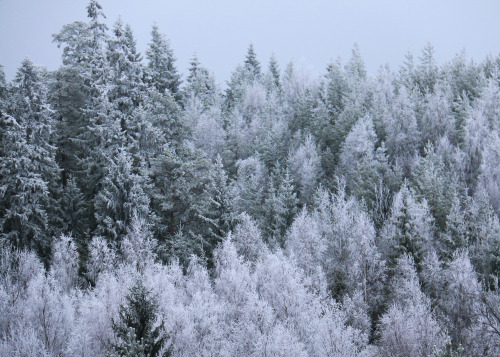 michaelnordeman:Värningsvikstorpshöjden, Värmland, Sweden. 