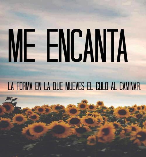 disfruta la vida no te amargues se feliz:3