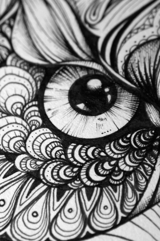 fer1972:  Greg the Owl by Greg Coulton 