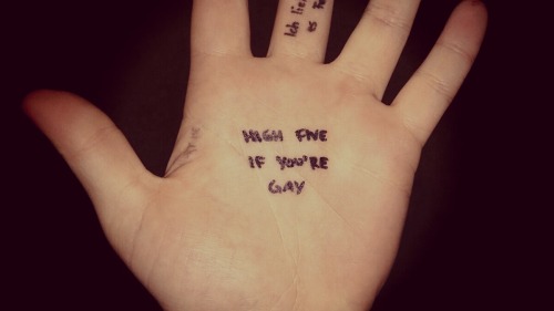 perfektekatastrophe:High Five If You’re Gay ✋
