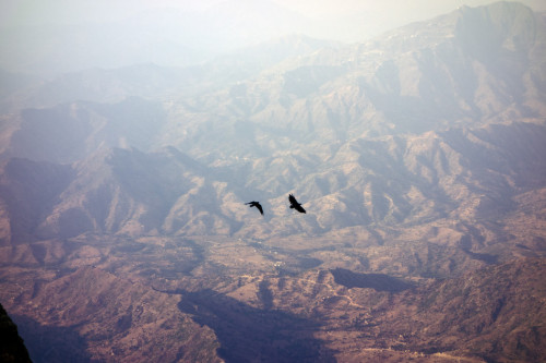 uglypnis:    Although Yemen has always seemed like home to Yumna Al-Arashi, it was only while working on her ongoing project in the region that the American photographer dedicated herself to revealing the country’s beauty, with a special focus on Yemeni