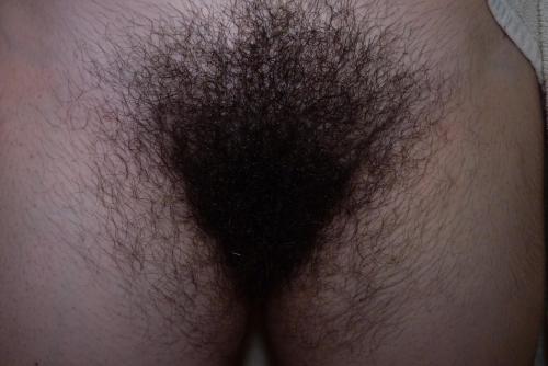 freefish54:  emeenes:  “show” 2/2  wowwwwwwwww 