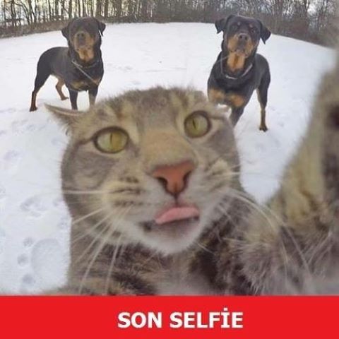 SON SELFİE