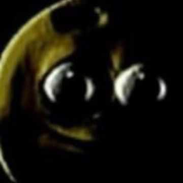 Omg Wow New Moot