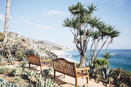 photosbylmb:Happy Friday the 13th! Get out there and make your own luck  (at Laguna Beach, Californi