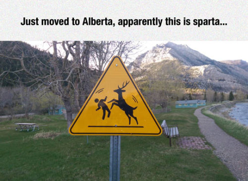 srsfunny:Things That You Only See In Canada porn pictures