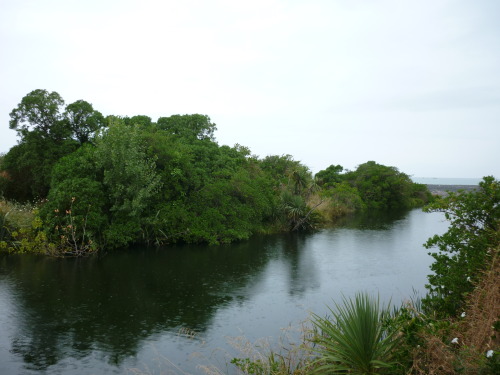 papaya-sea:  the river in kaikoura :)