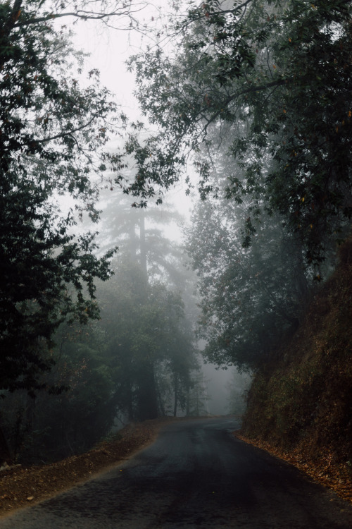 iamkylesipple:Early morning roads in Big Sur.twitter/flickr/instagram/prints