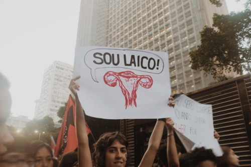 Manifestação contra pec 181Brasil, rio de janeiro