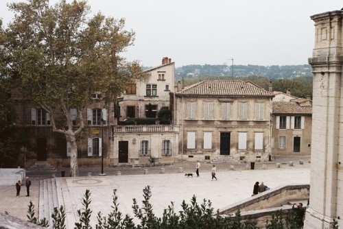 travelsofabrokegirl:AvignonFrance