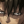 amunraxvii: