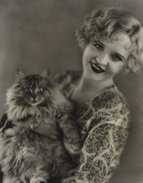 vintagecatsandpeople:  Phyllis Haver  (in honor of her birthday today, January 6)