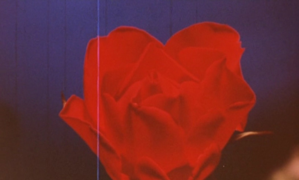 secondtimevirgin:  The Rose King (Werner Schroeter, 1986) 