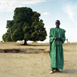 5centsapound:Xavier Guardans: Senegal